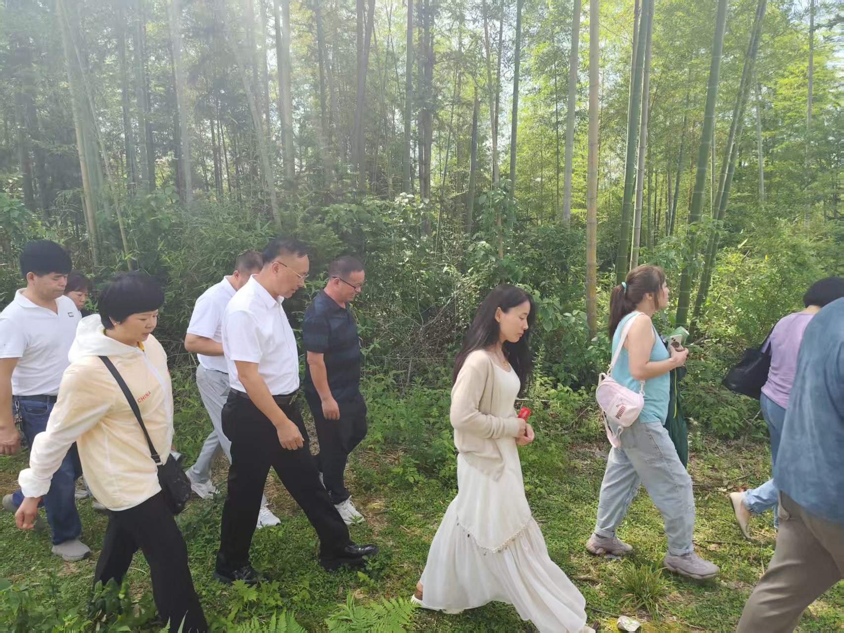 糖莫愁产品展示